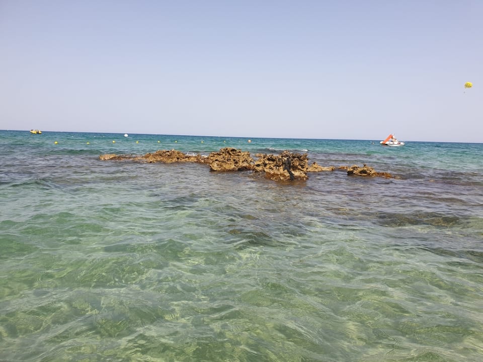 Strand Cactus Beach
