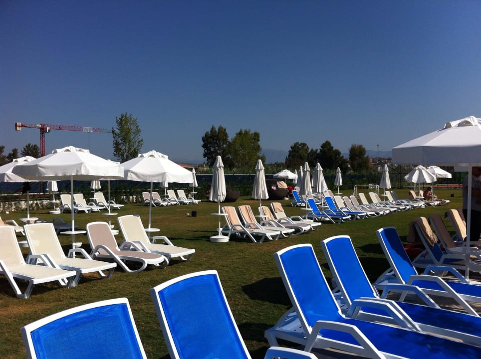 Grün wohin das Auge reicht! Dream World Aqua Hotel