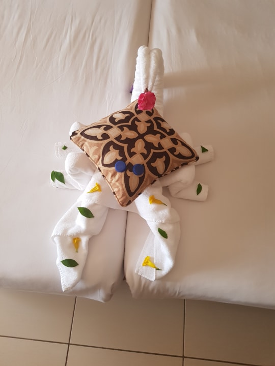 Zimmer Jaz Dar EL Madina