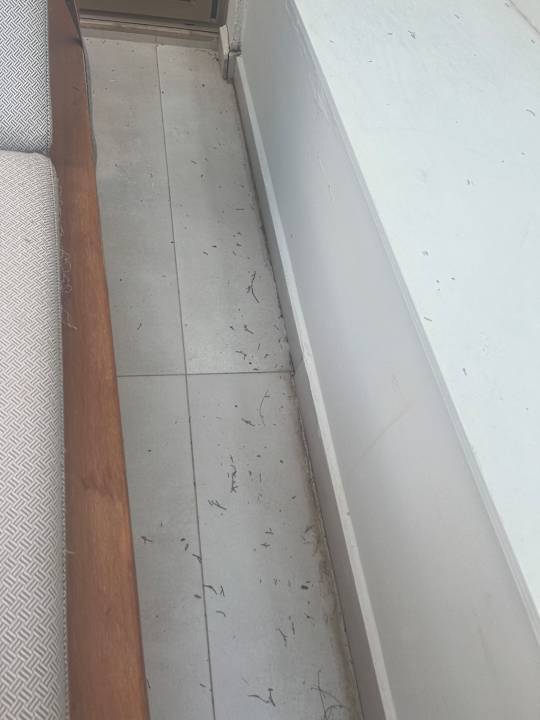 Gartenanlage TUI BLUE Oceanis Beach and Spa Resort