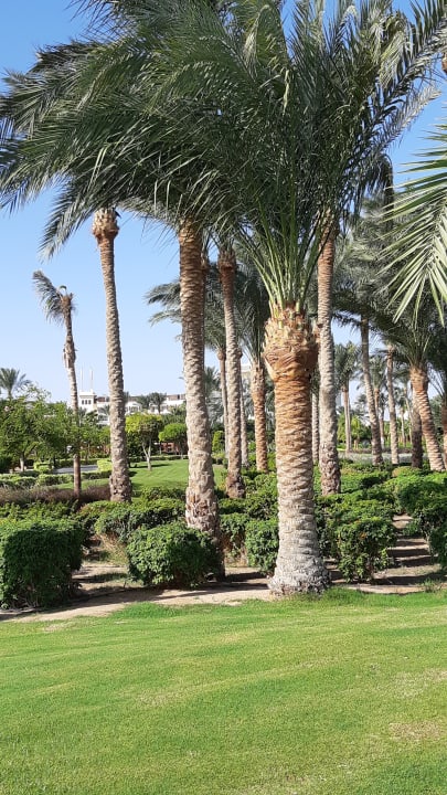 Gartenanlage Steigenberger Aqua Magic