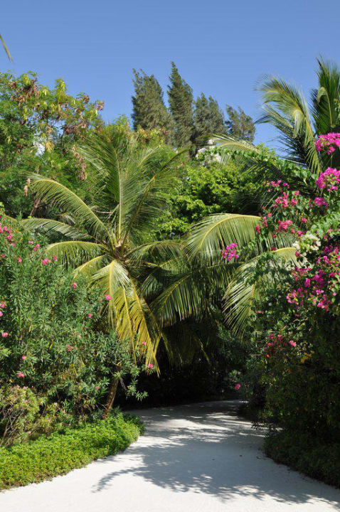 Sehr gepflege Gartenanlage Sun Siyam Olhuveli