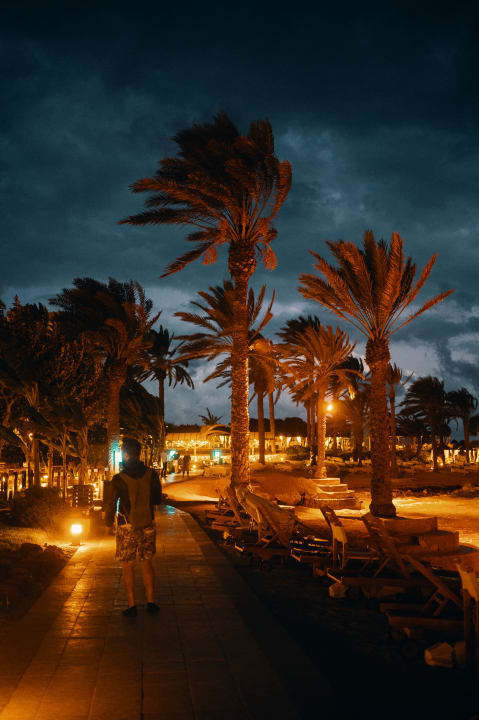 Gartenanlage TUI BLUE Pioneer Beach