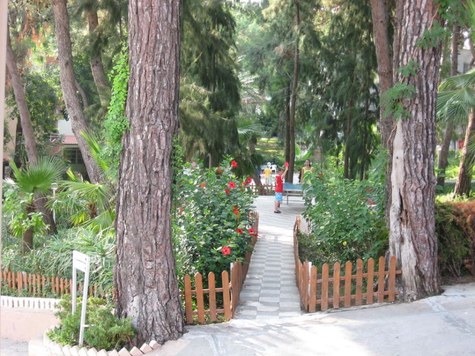 Anlage Club Sidelya Hotel