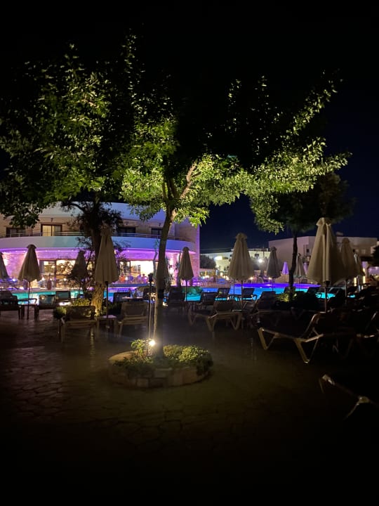 Gartenanlage Cactus Royal