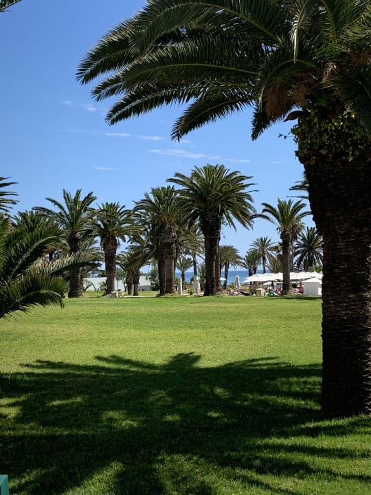 Ausblick Hotel JAZ Tour Khalef
