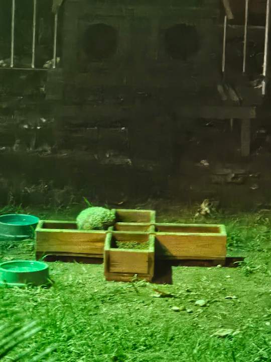 Gartenanlage Botanik Hotel & Resort