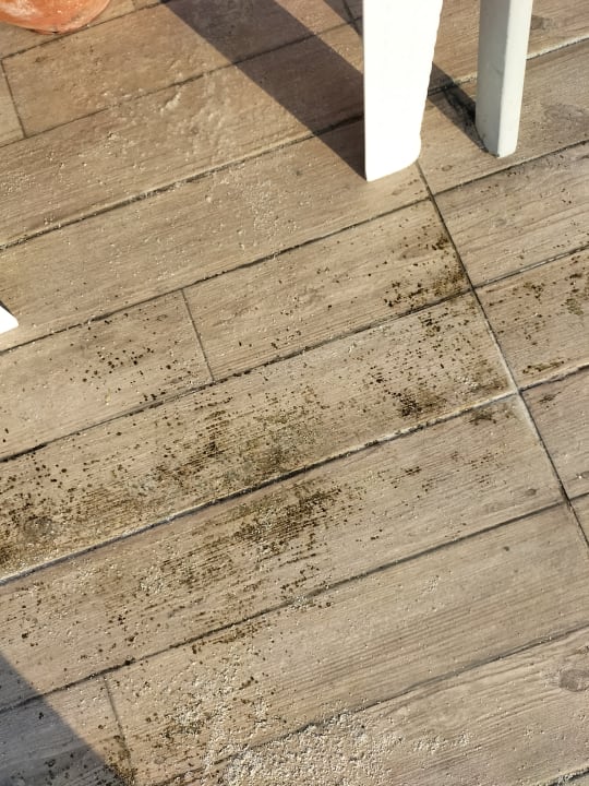 Pool Miarosa Kemer Beach