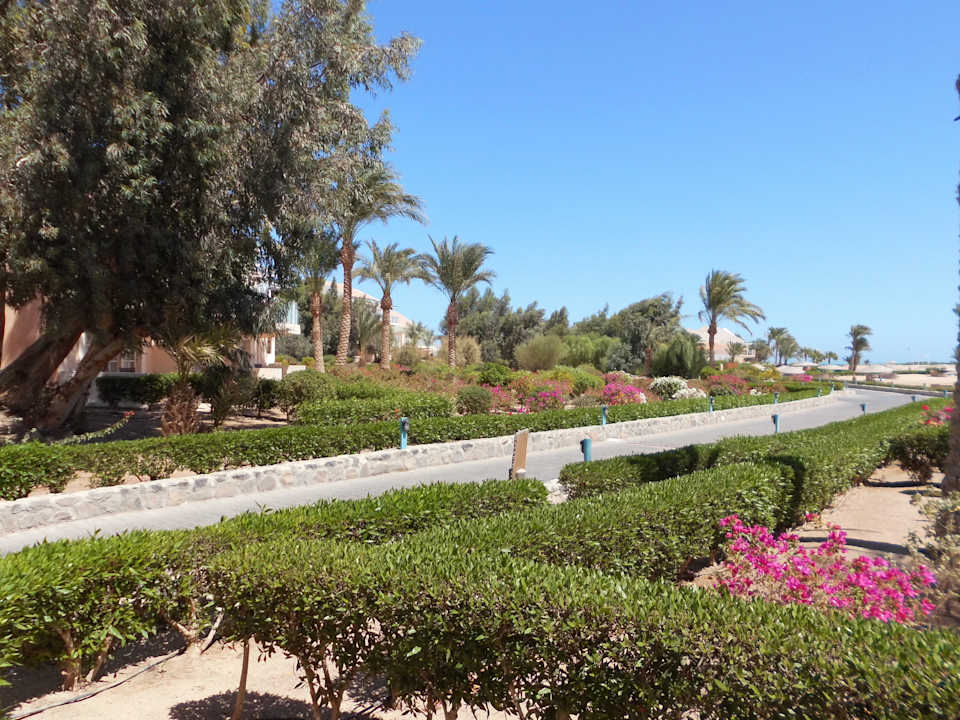 Gartenanlage Mövenpick Resort & Spa El Gouna