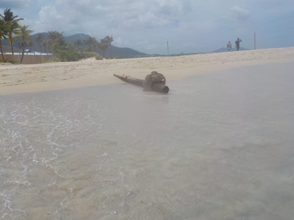 Strand Grand Paradise Playa Dorada