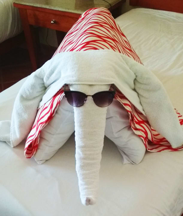 Zimmer Casa Mare Resort