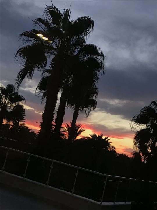 Gartenanlage Seaden Sea World Resort & Spa