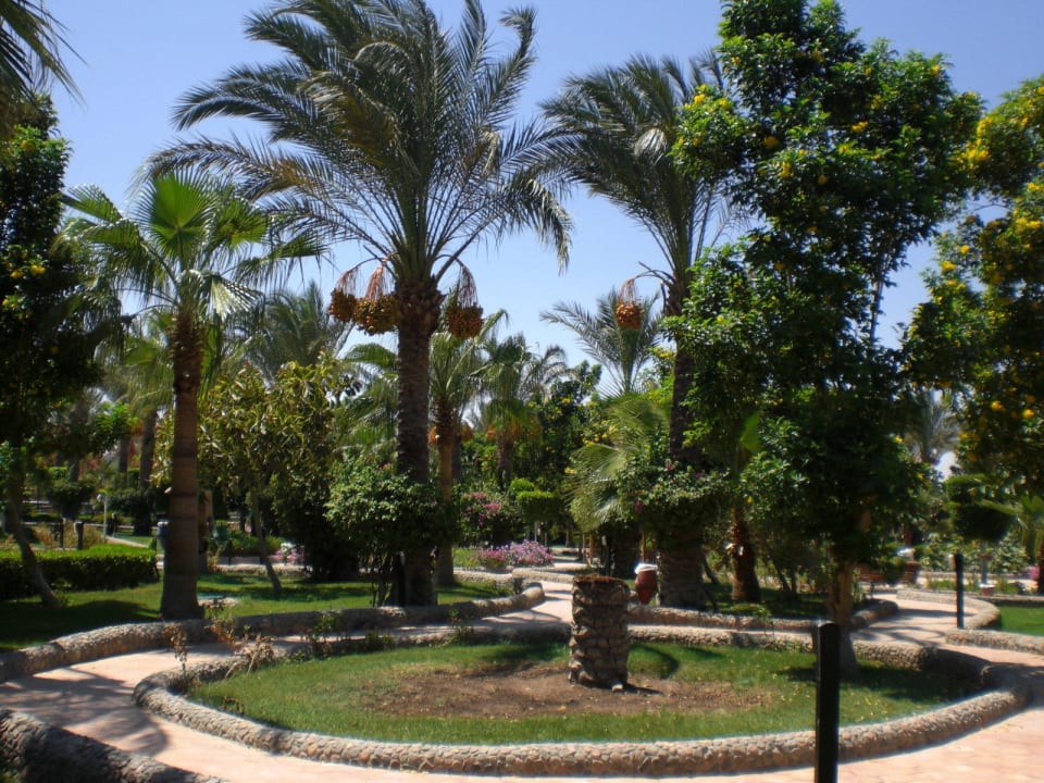 Schön.... Le Jardin Aqua Park Resort