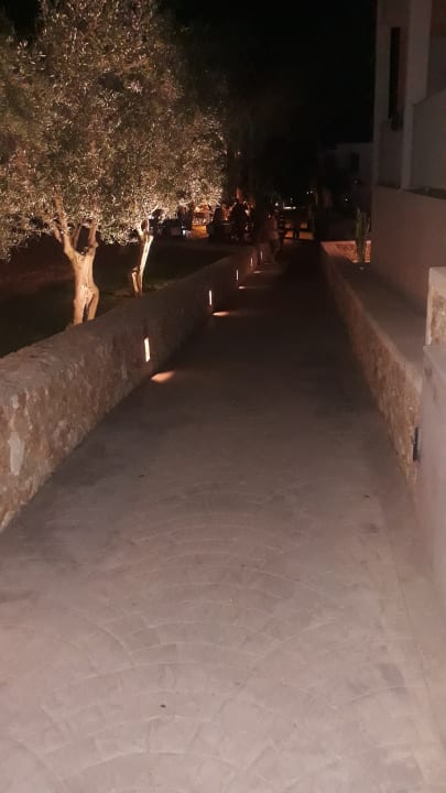 Gartenanlage Protur Floriana Resort Aparthotel