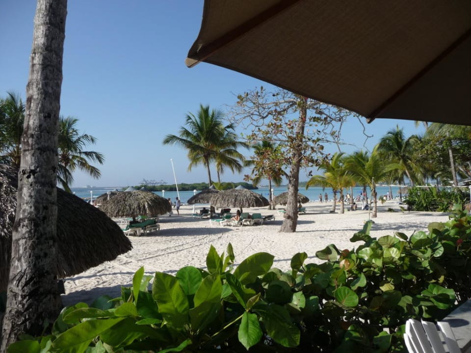 Strand whala!boca chica