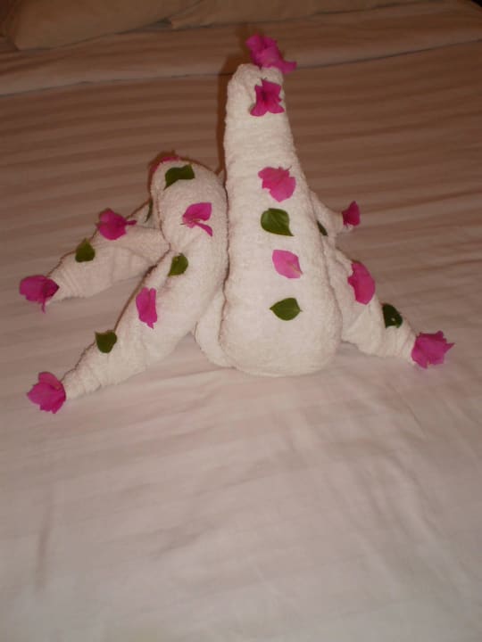 Hotel The Three Corners Sea Beach Resort Three Corners Sea Beach Resort