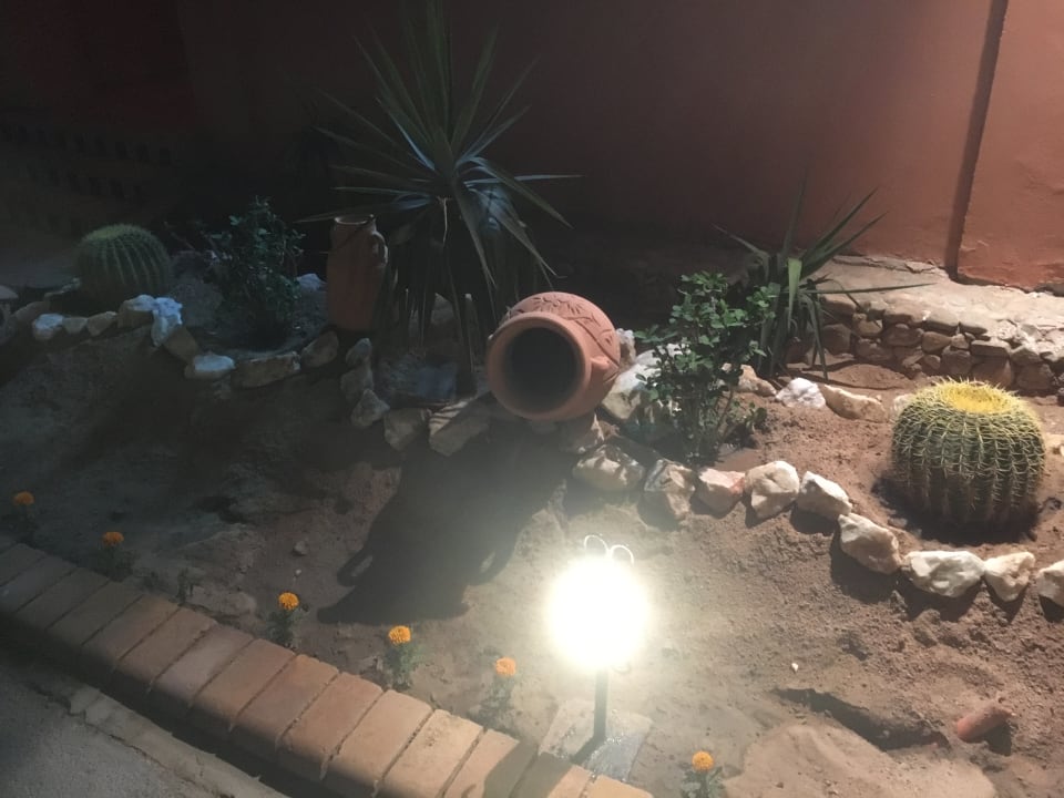 Gartenanlage Jaz Makadi Oasis Resort