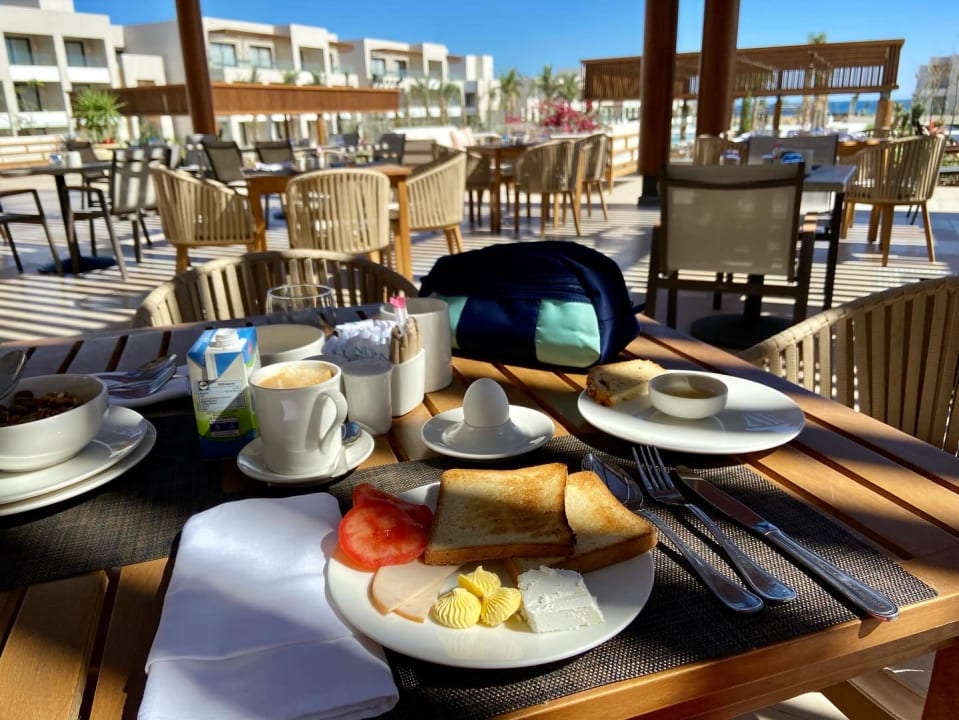 Gastro JAZ Elite Amara