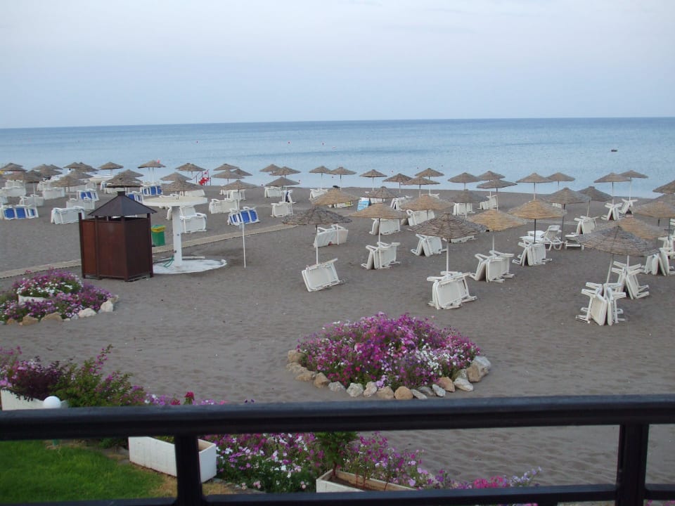 Bild 2 Hotel Calypso Beach