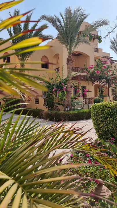 Gartenanlage Steigenberger Coraya Beach - Adults only