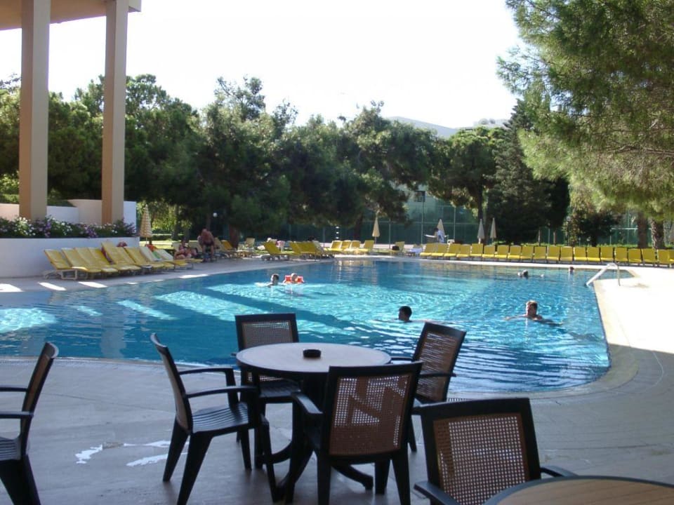 Pool Asteria Collection Side