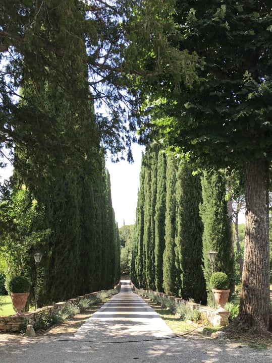 Gartenanlage Hotel Borgo San Luigi