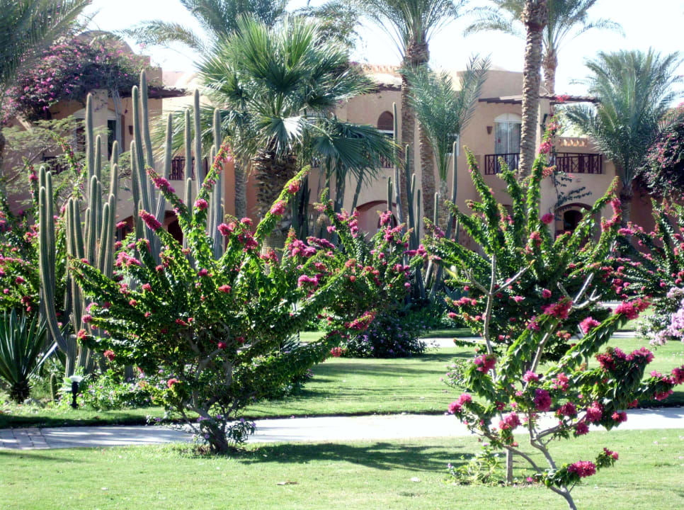 Blütenpracht Stella Garden Resort & Spa, Makadi Bay