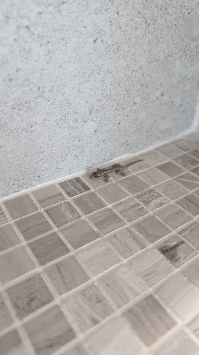 Zimmer Casa de La Flora