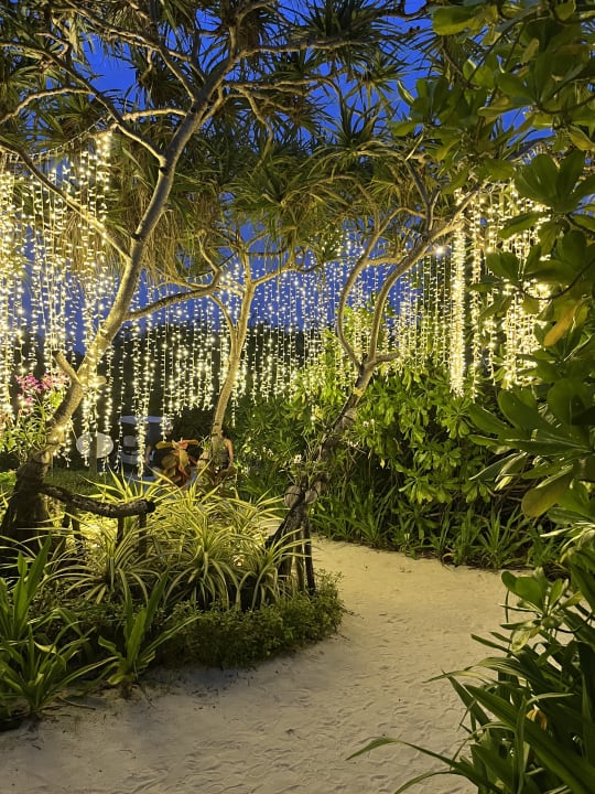 Gartenanlage Kuredu Island Resort & Spa