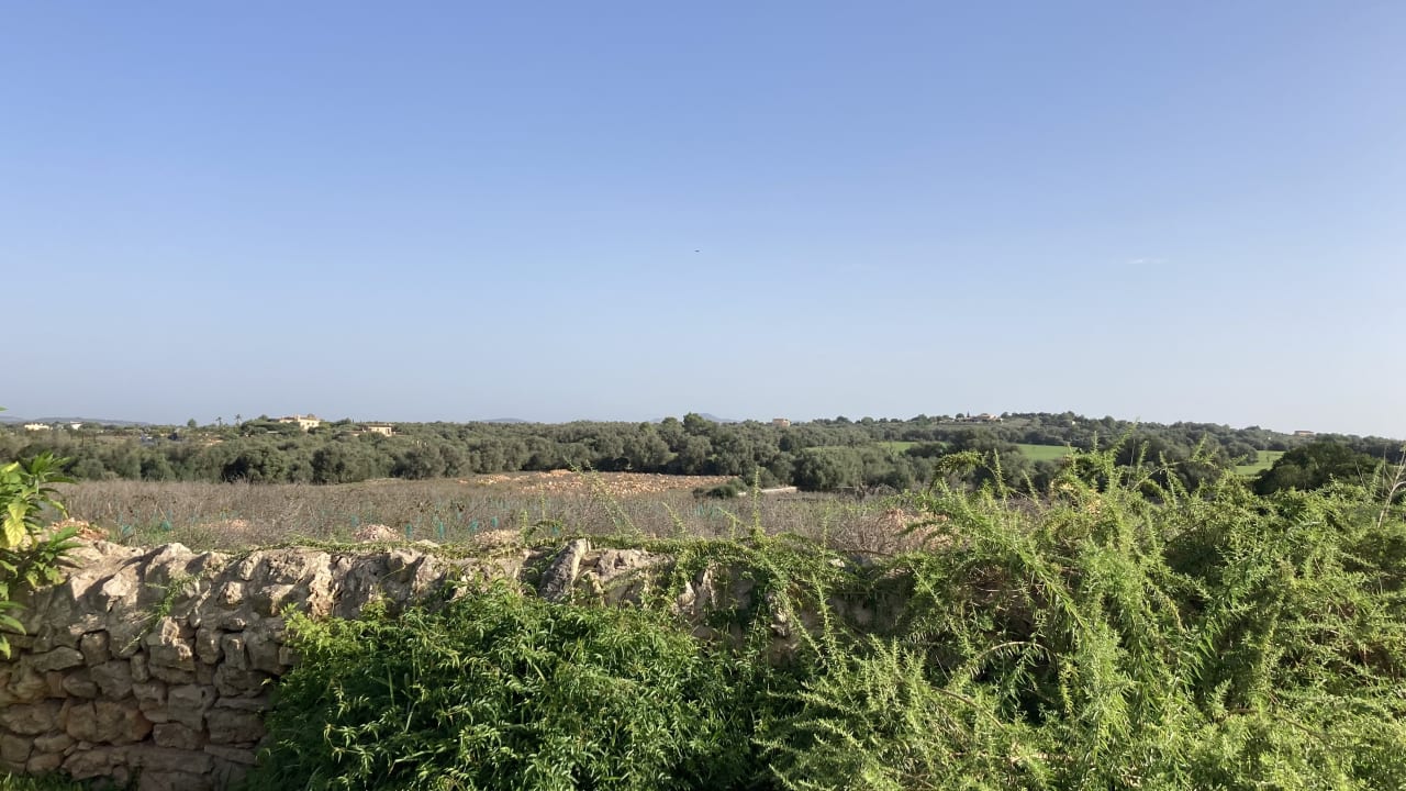 Ausblick Agroturisme Rafal Nou