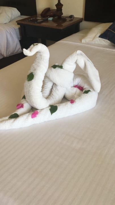 Zimmer Three Corners Sea Beach Resort