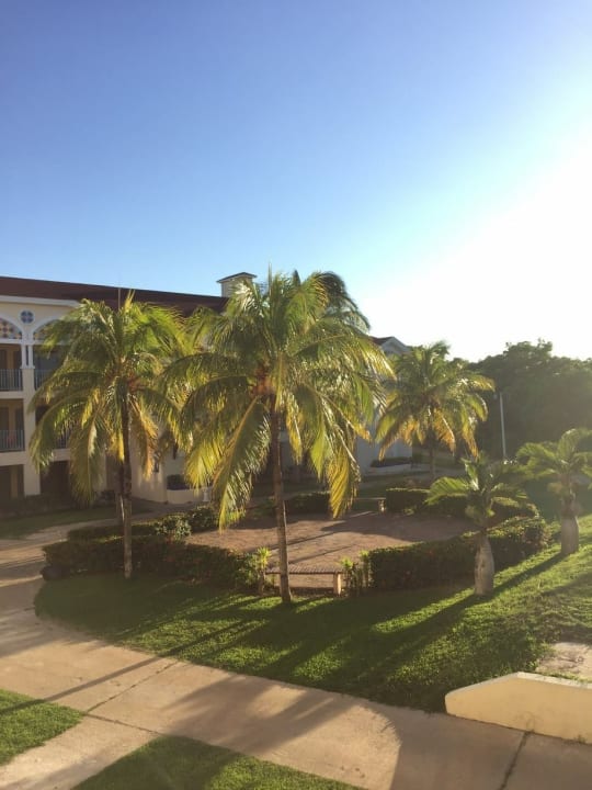 Ausblick Iberostar Origin Playa Alameda