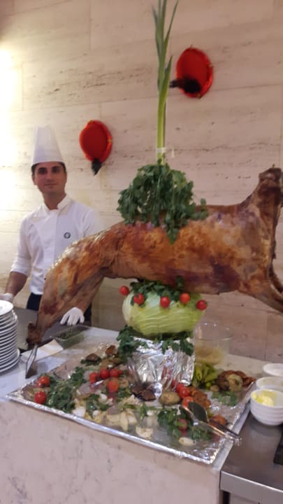 Gastro Acanthus Cennet Barut Collection