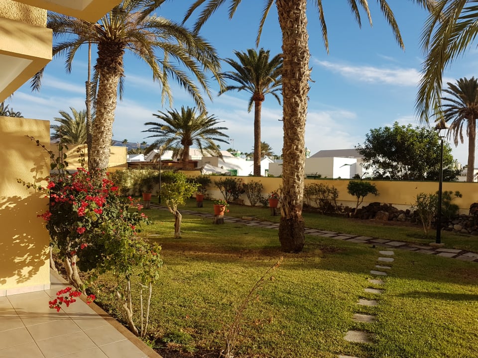 Gartenanlage Club Excelsior 2