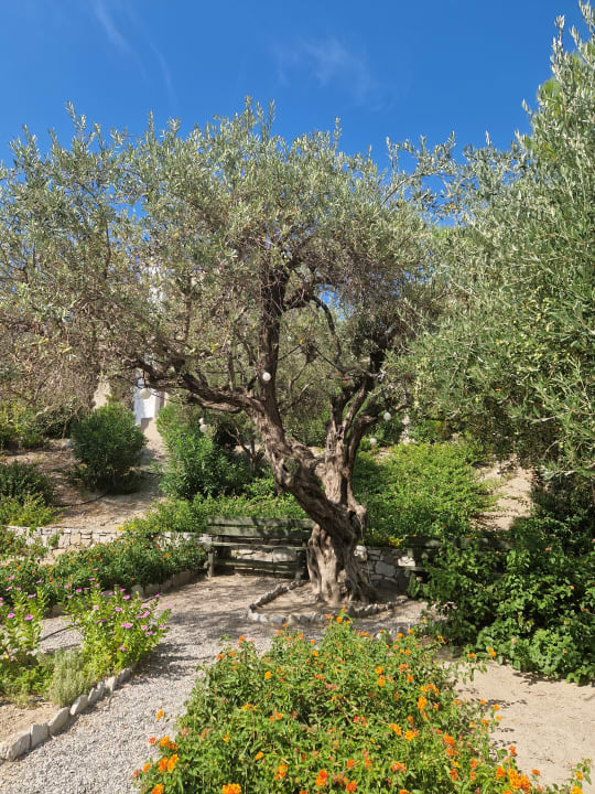 Gartenanlage alltoura Club Hotel Porto Angeli Beach Resort