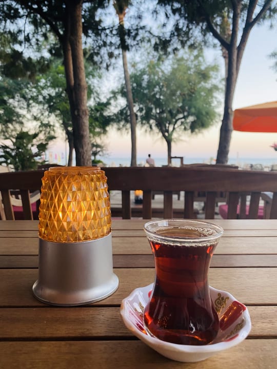 Gastro Arum Barut Collection