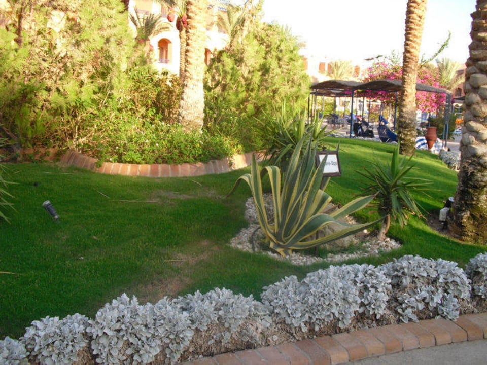 Hotelanlage Jaz Makadi Oasis Resort