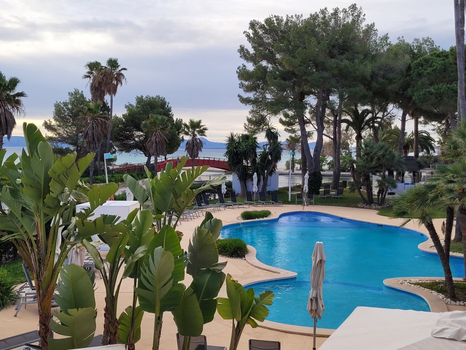 Ausblick allsun App.-Hotel Orquidea Playa