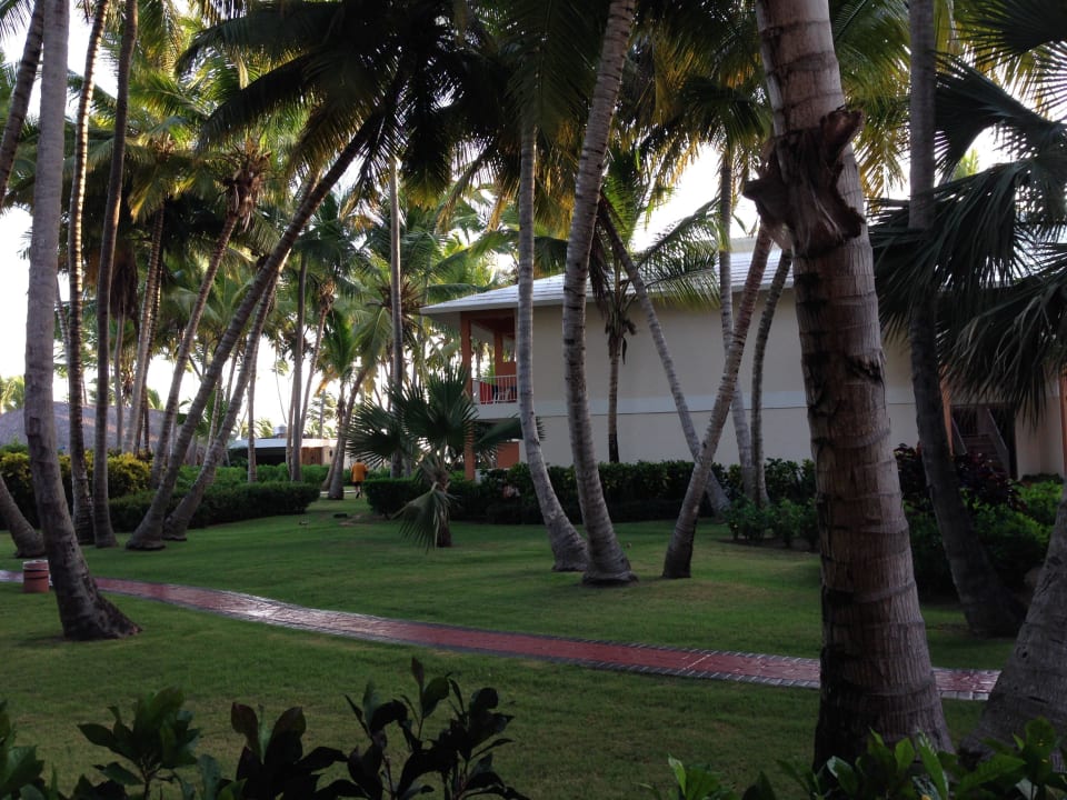 Blick vom Zimmer Grand Palladium Punta Cana Resort & Spa