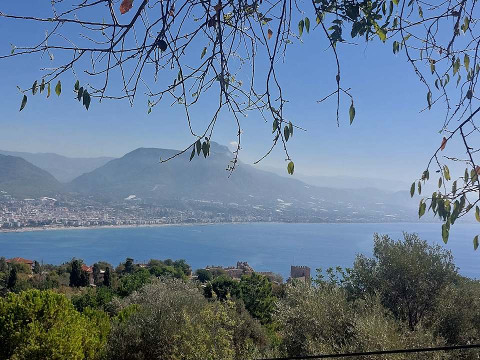 Ausblick Gardenia Hotel