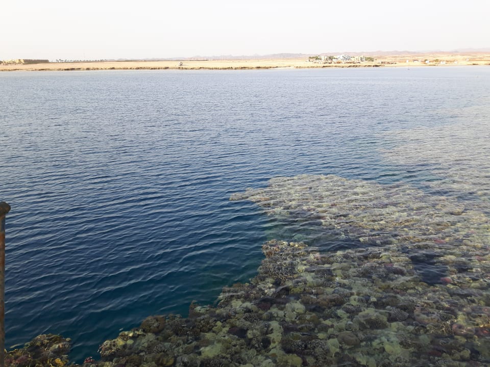 Strand Pickalbatros Palace Hotel-Port Ghalib
