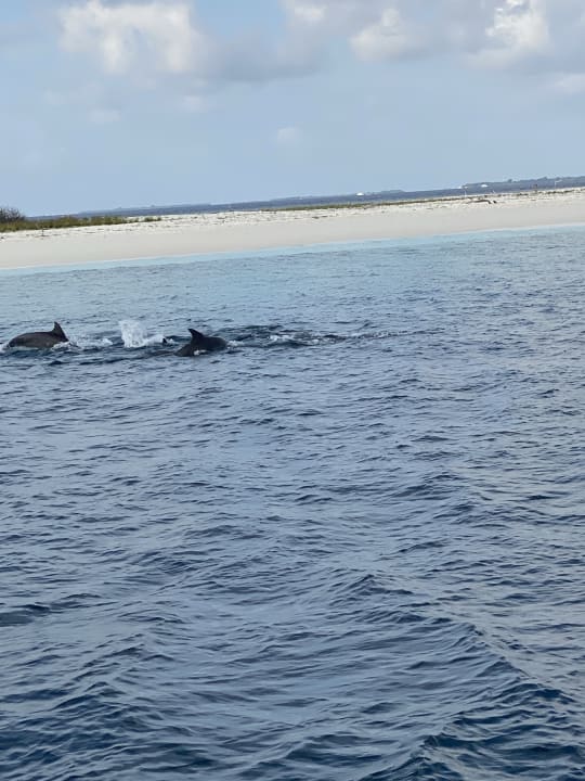 Sport & Freizeit Kudafushi Resort & Spa