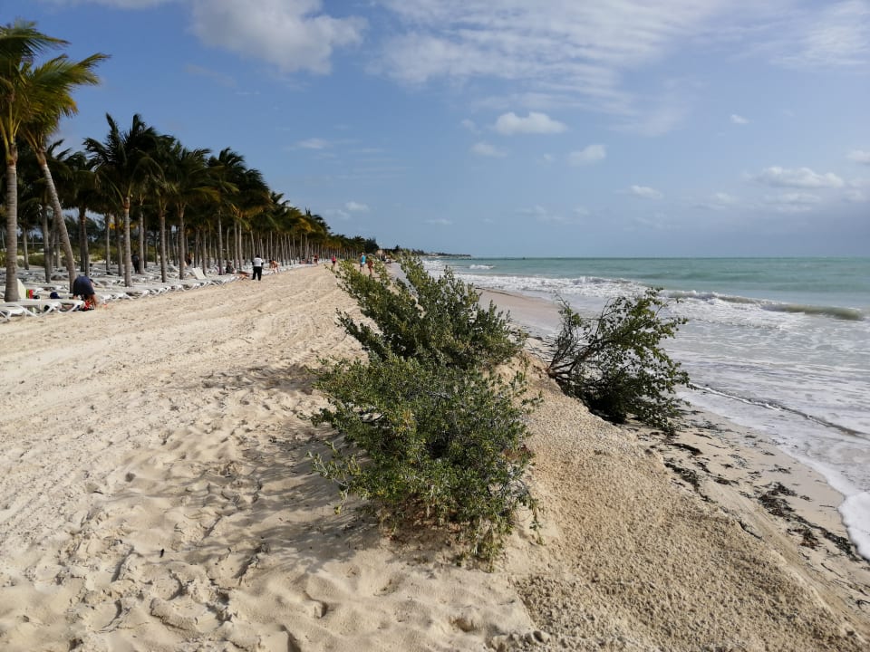 Strand Hotel Riu Dunamar
