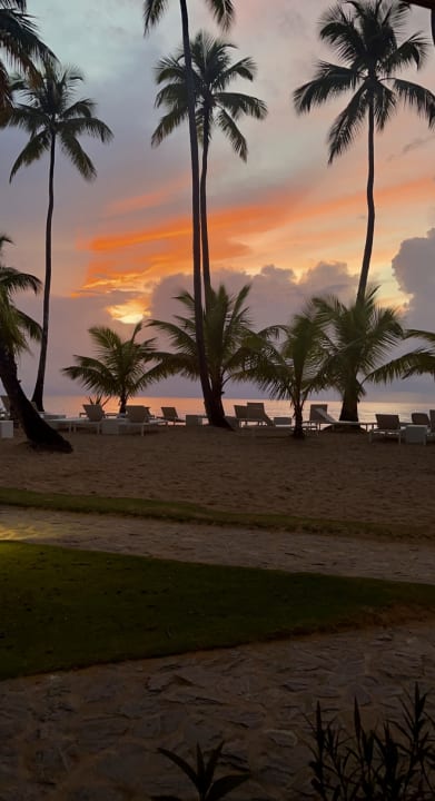Strand Viva V Samana by Wyndham – Adults Only