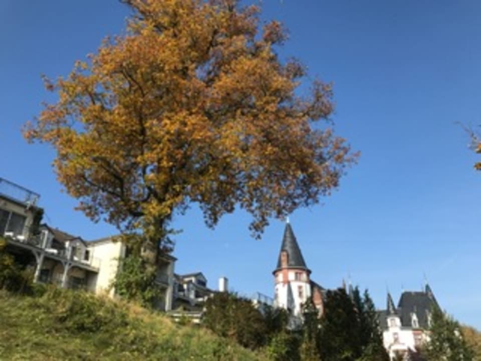 Außenansicht Seehotel Schloss Klink