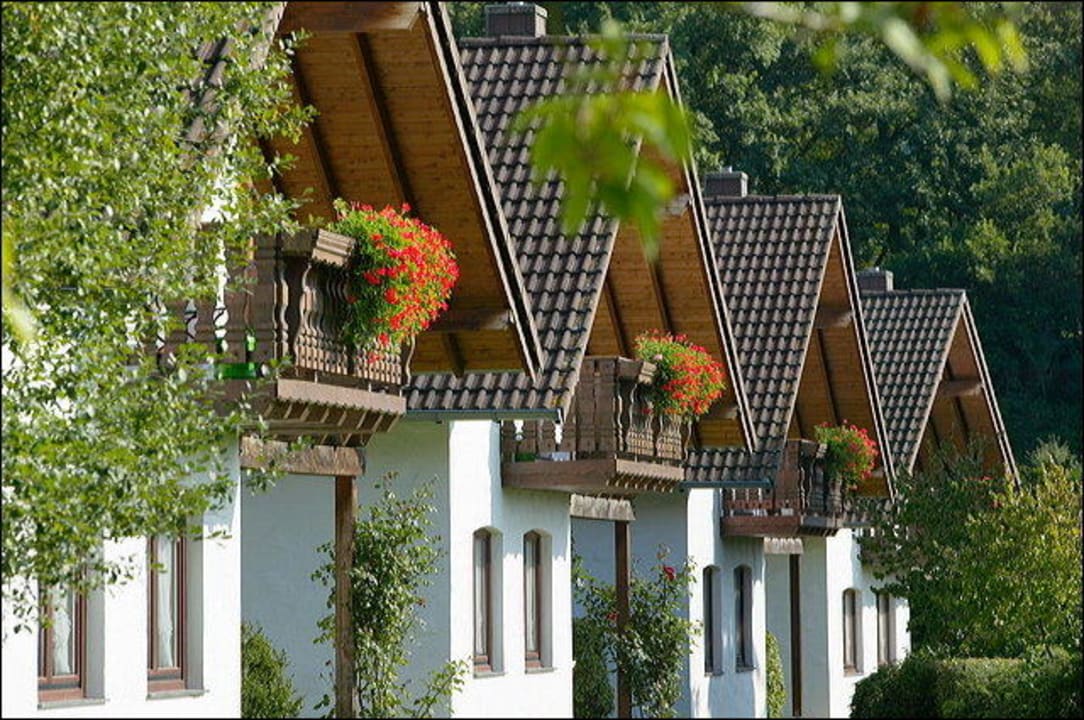 Ferienhäuser  Ferienwohnpark Rursee