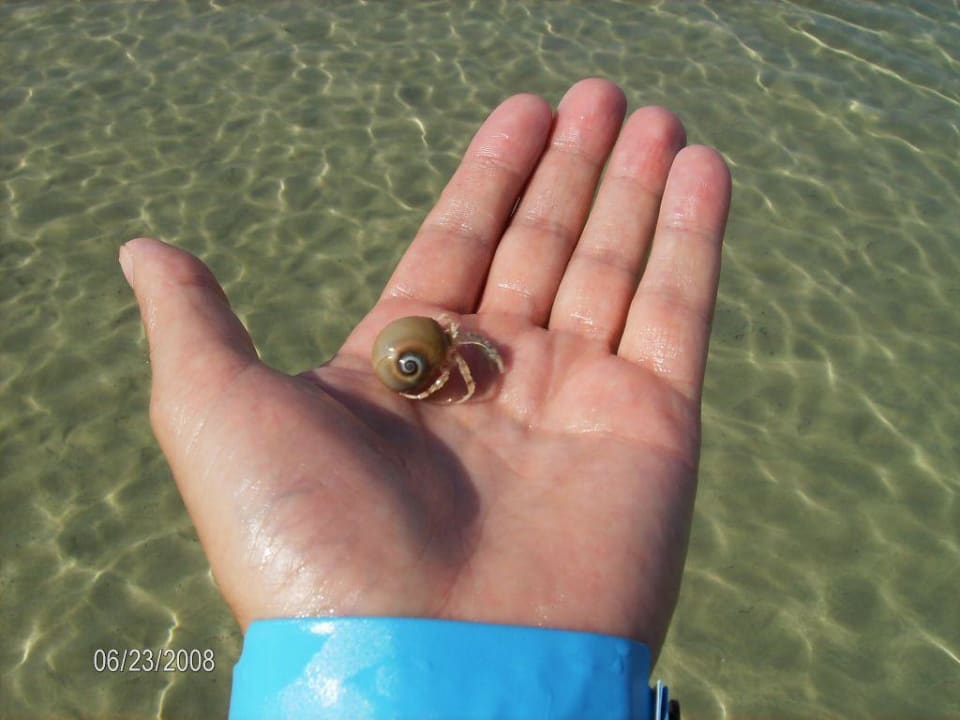 Plaża Ruspina Beach Resort
