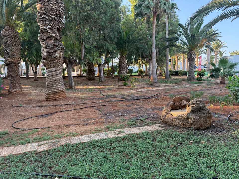 Gartenanlage Sol Marina Beach