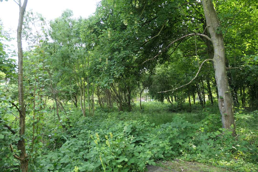 Ausblick Architektenhaus am Pewsumer Tief