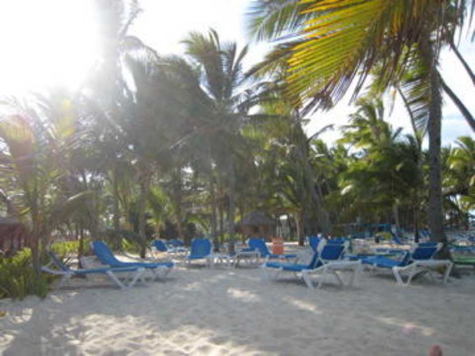 Strand am Nachmittag Hotel Riu Palace Bavaro